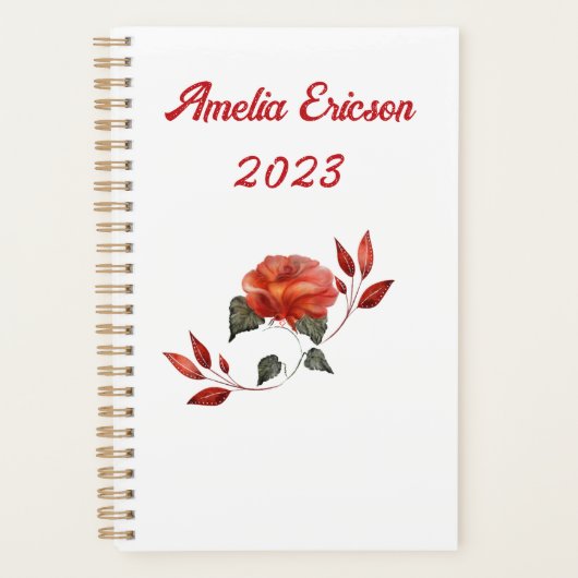 Planner Planer (Vorderseite)