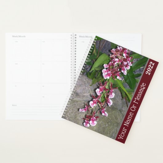 Planner - Tolumnia Jairak Rainbow Orchid Planer (Anzeige)