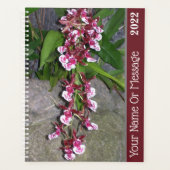 Planner - Tolumnia Jairak Rainbow Orchid Planer (Vorderseite)