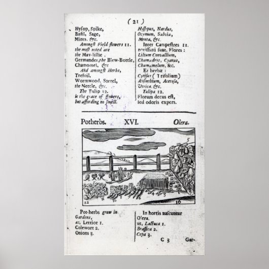 Plant Husbandry from 'Orbis sensualism pictus' Poster (Vorne)