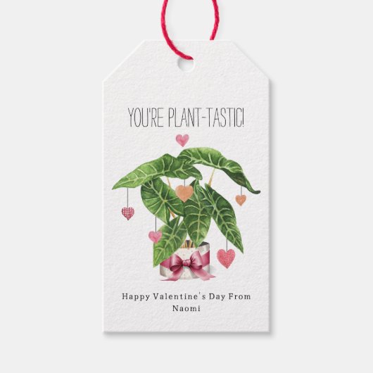 Plant-tastic Houseplant Pun Valentine Geschenkanhänger (Vorderseite)