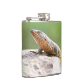 Plantapitze Flachmann (Rechts)