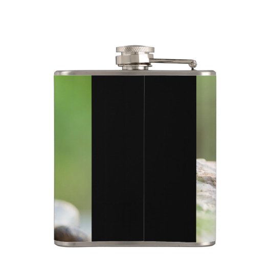 Plantapitze Flachmann (Rückseite)