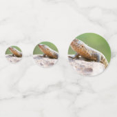 Plantapitze Konfetti (Rückseiten)