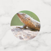 Plantapitze Konfetti (Klein Vorderseite)