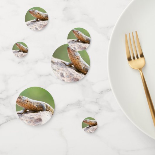 Plantapitze Konfetti (Gruppe)