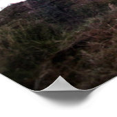Plantation Poster (Ecke)