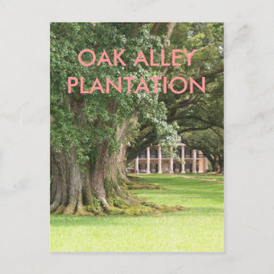 PLANTATION POSTKARTE