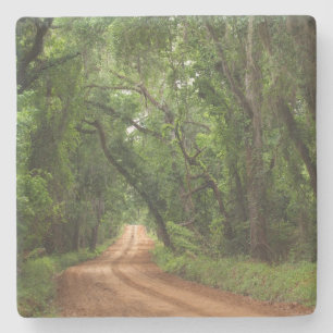 Plantationskanopierstraße im Untersetzer Georgia S