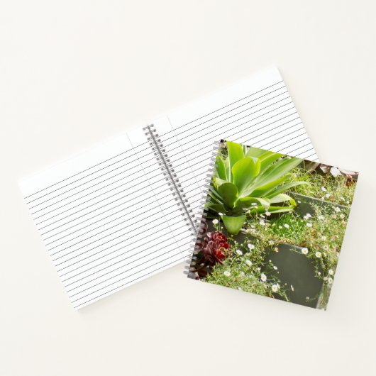 Planters-Notebook Notizblock (Innenseite)