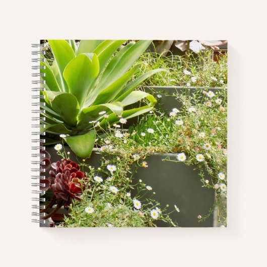 Planters-Notebook Notizblock (Vorderseite)