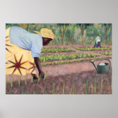 Planting Onions 2005 Poster (Vorne)