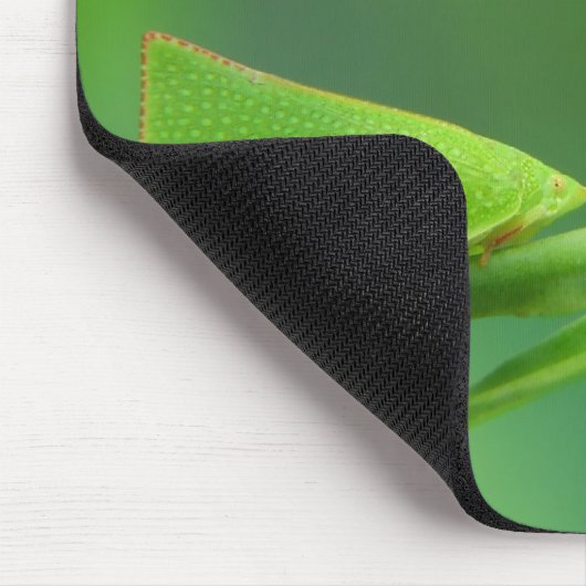 PlantWalker Mousepad (Ecke)