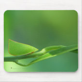 PlantWalker Mousepad (Vorne)