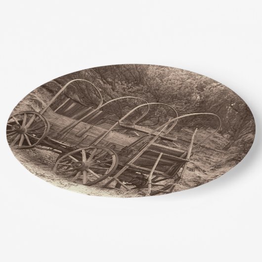 PLANWAGEN PAPPTELLER (Schrägansicht)