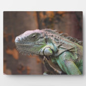 Plaque mit farbiger Iguana-Eidechse Fotoplatte (Vorderseite)