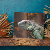 Plaque mit farbiger Iguana-Eidechse Fotoplatte (Seite)