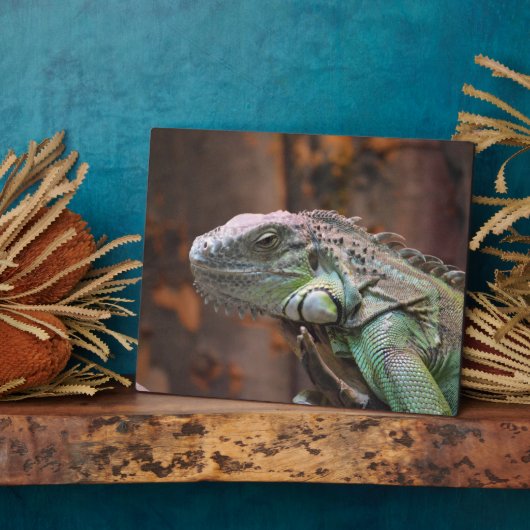 Plaque mit farbiger Iguana-Eidechse Fotoplatte (Seite)