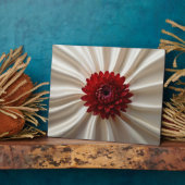 Plaque mit japanischer Farbe Modernes Design Fotoplatte (Seite)