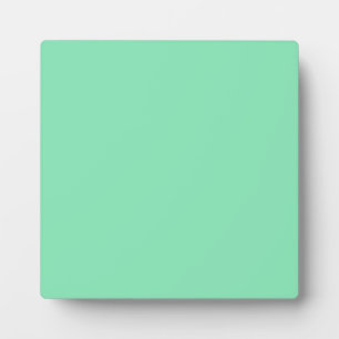 Plaque mit Pastel Mint Gree Hintergrund Fotoplatte