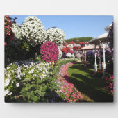 Plaque mit Petunien Fotoplatte (Vorderseite)