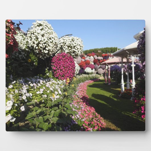 Plaque mit Petunien Fotoplatte (Vorderseite)