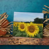 Plaque mit Sonnenblume Fotoplatte (Seite)