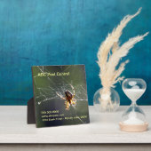 Plaque - Spider Fotoplatte (InSitu)