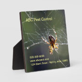 Plaque - Spider Fotoplatte (Vorderseite)