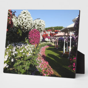 Plaque with petunias fotoplatte