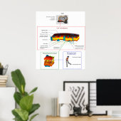 Plasma-Membran Plasmalemma-Diagramm Poster (Heimbüro)