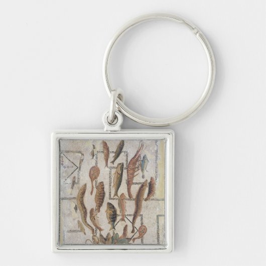 Plasterung, welche die Fische entgehen von einem Schlüsselanhänger (Vorne)