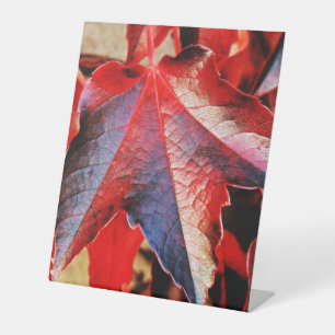 Plastikbodenzeichen 10"X12" Sockelschild