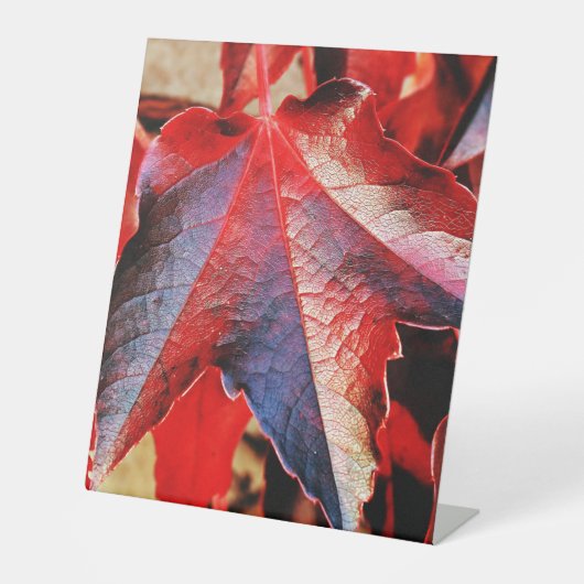 Plastikbodenzeichen 10"X12" Sockelschild (Vorderseite)
