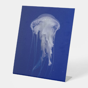 Plastikbodenzeichen 10"X12" Sockelschild