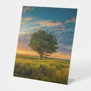 Plastikbodenzeichen 10"X12" Sockelschild