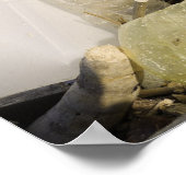 Plastikflaschen und Meerwasser-Ablagerung auf eine Poster (Ecke)