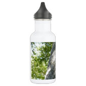 Platane-Baum Edelstahlflasche (Links)