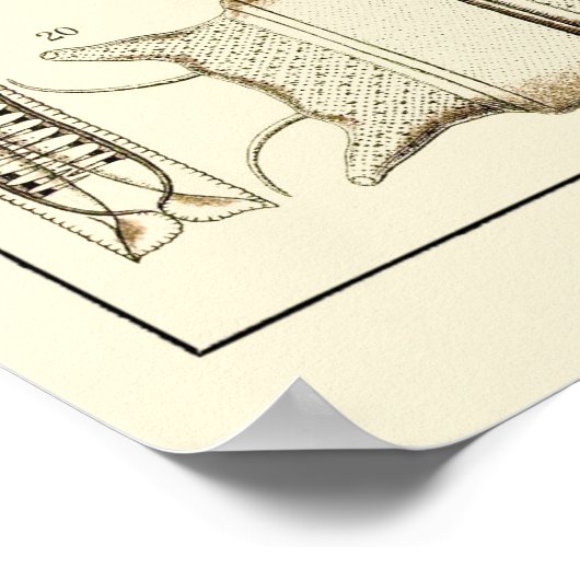 Plate 04 Diatomea Poster (Ecke)