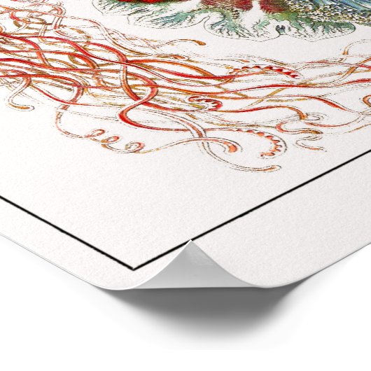 Plate 08. Beschwerden. Poster (Ecke)