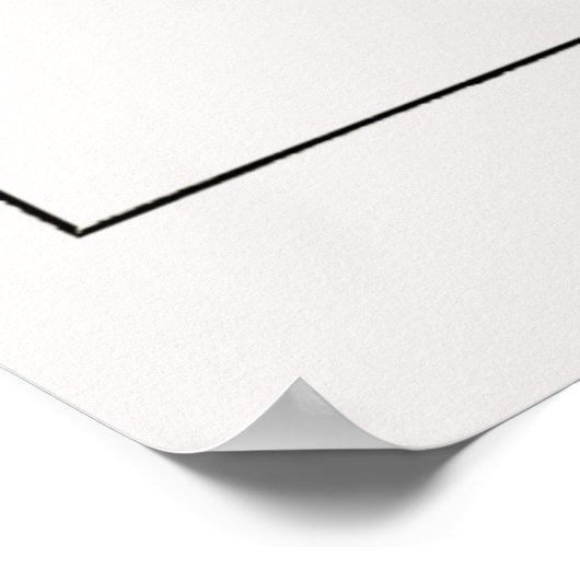 Plate 08 Discomedusae Poster (Ecke)