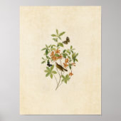 Plate 198 | Warbler mit braunem Wurm Poster (Vorne)