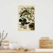 Plate 206 | Sommer oder Holzente | Vögel in Amerik Poster (Küche)
