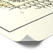 Plate 21 Acanthometra Poster (Ecke)