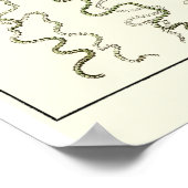 Plate 26 Trachomedusae Poster (Ecke)