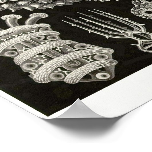 Plate 50. Ach ja. Poster (Ecke)