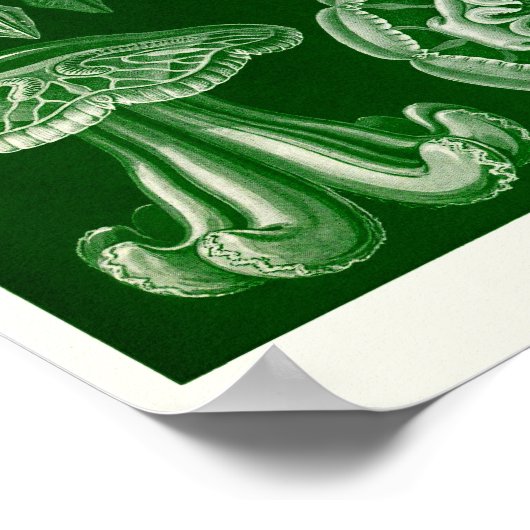 Plate 88. Beschwerden. Poster (Ecke)