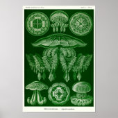 Plate 88. Beschwerden. Poster (Vorne)