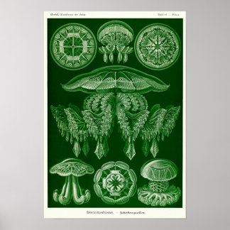 Plate 88. Beschwerden. Poster