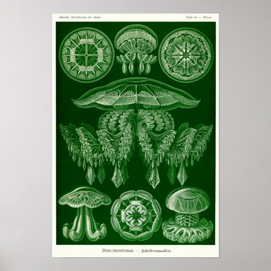 Plate 88. Beschwerden. Poster (Vorne)